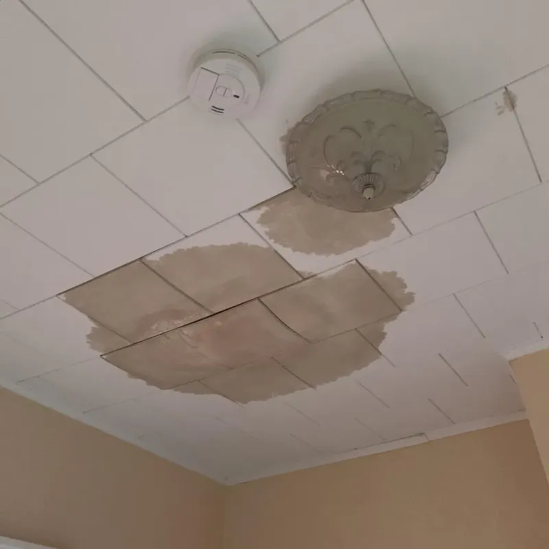 Ceiling Water Damage Repair in Kernersville, NC