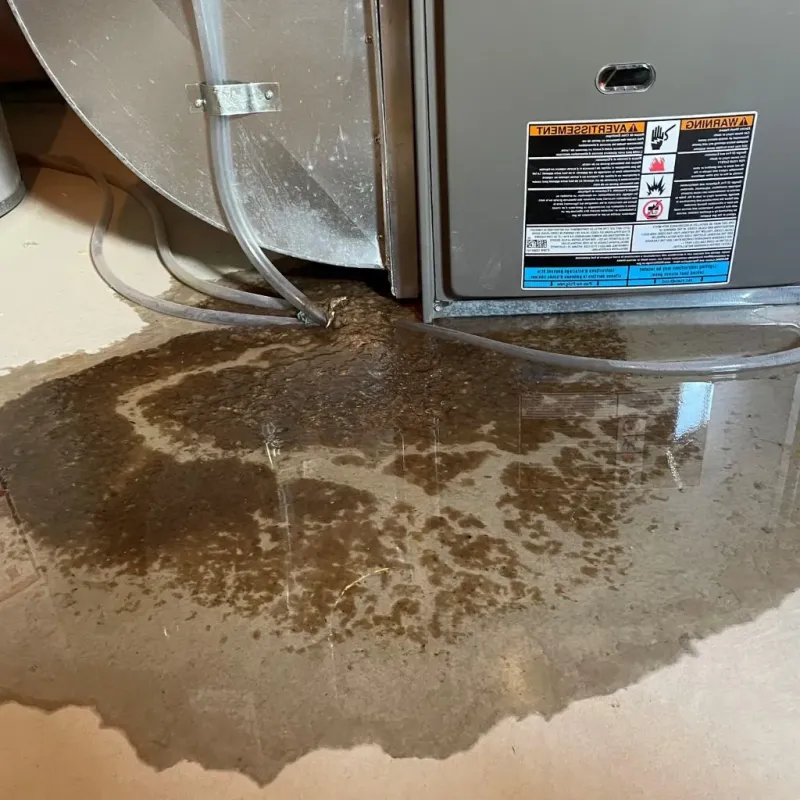 Pipe Burst and Leak Restoration in Kernersville, NC