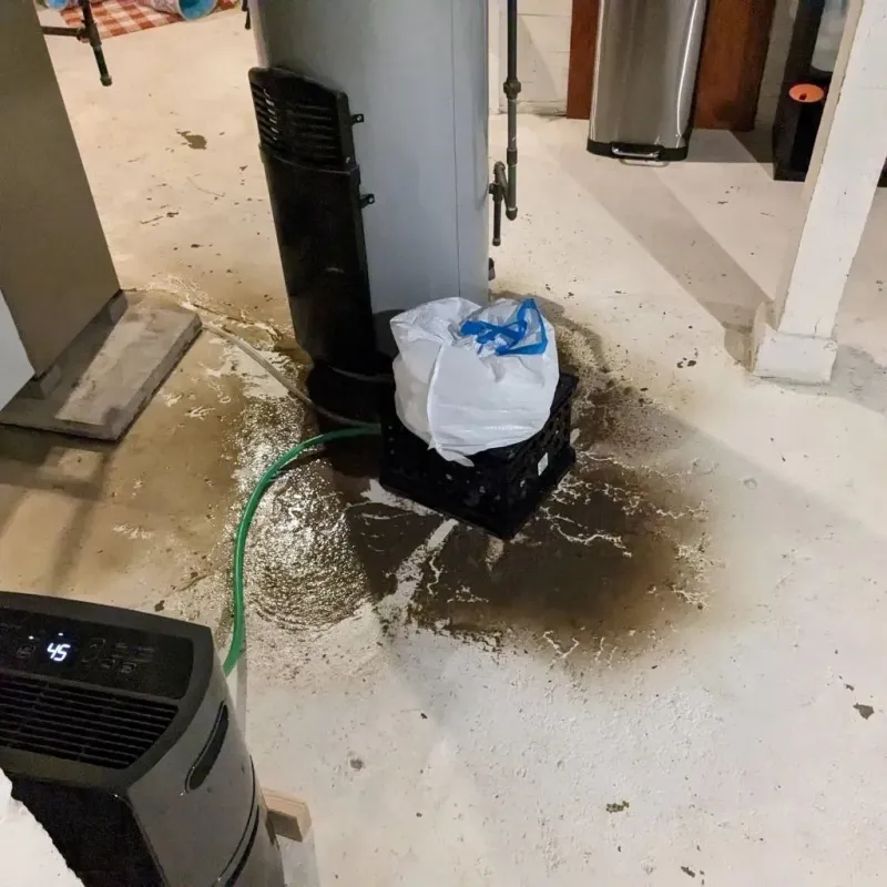 Sewage Backup Cleanup Service in Kernersville, NC